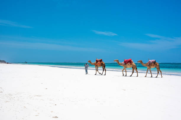 Diani Beach White Sands